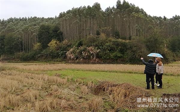 基隆市陈老师带着爱徒寻龙点穴